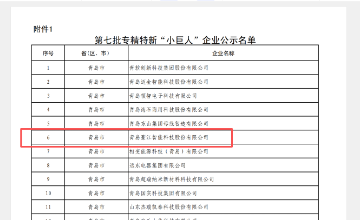 恭喜！！勤发发网络智能荣获专精特新“小巨人”荣誉